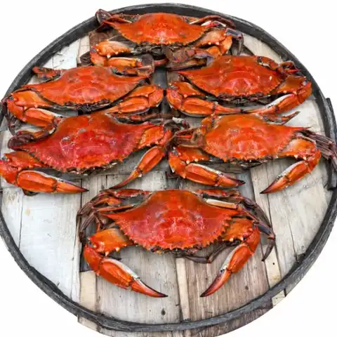 Extra Large Crabs HALF Dozen