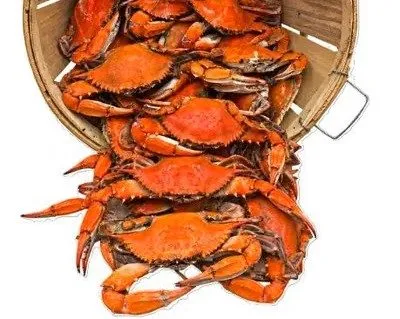 Extra Large Crabs 1 Dozen